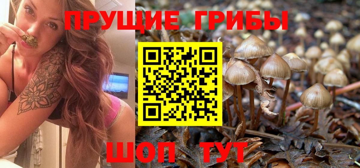 Галлюциногенные грибы ЛСД Октябрьский